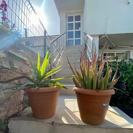 Semesterbostad Ninos Sea View Çeşme